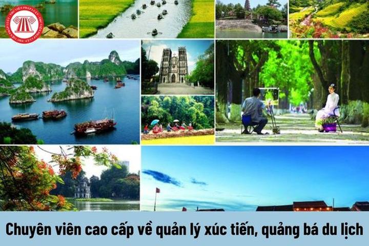 Mẹ Bỉm Sữa Kiếm Tiền Triệu Đô Từ Video Ngắn Cùng Hotspot Matrix
