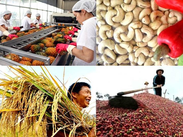 Từ Ông bà dặn: